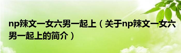 np辣文一女六男一起上（關(guān)于np辣文一女六男一起上的簡(jiǎn)介）