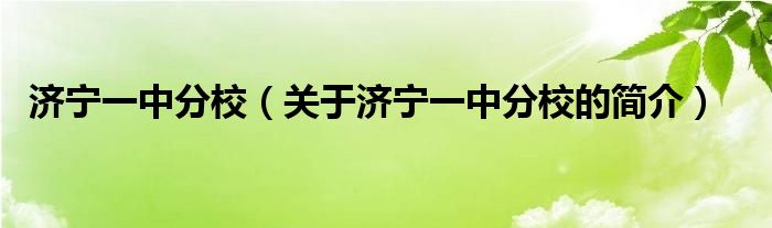 濟寧一中分校（關(guān)于濟寧一中分校的簡介）