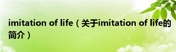 imitation of life（關(guān)于imitation of life的簡(jiǎn)介）