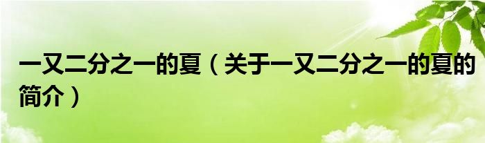 一又二分之一的夏（關(guān)于一又二分之一的夏的簡(jiǎn)介）