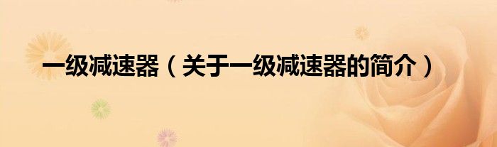 一級減速器（關(guān)于一級減速器的簡介）