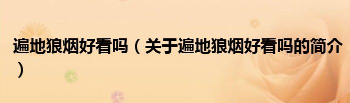 遍地狼煙好看嗎（關(guān)于遍地狼煙好看嗎的簡(jiǎn)介）