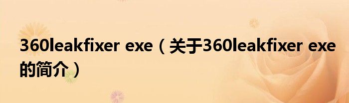 360leakfixer exe（關(guān)于360leakfixer exe的簡(jiǎn)介）