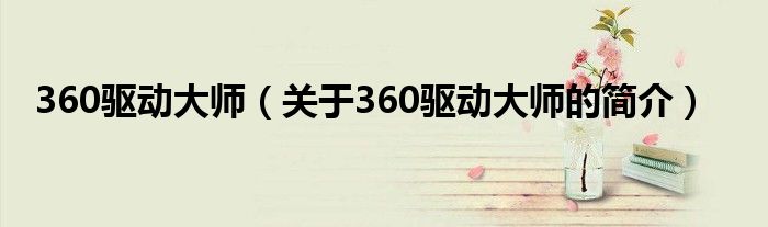 360驅(qū)動大師（關(guān)于360驅(qū)動大師的簡介）