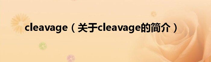 cleavage（關(guān)于cleavage的簡(jiǎn)介）