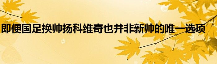 即便國(guó)足換帥揚(yáng)科維奇也并非新帥的唯一選項(xiàng)