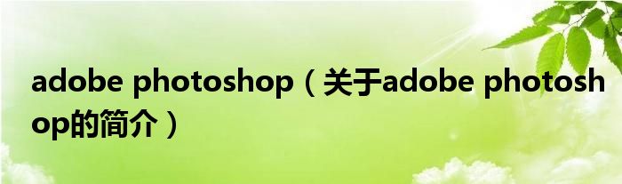 adobe photoshop（關(guān)于adobe photoshop的簡(jiǎn)介）