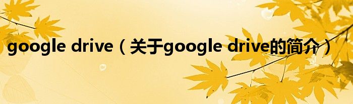 google drive（關(guān)于google drive的簡(jiǎn)介）