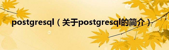 postgresql（關(guān)于postgresql的簡(jiǎn)介）