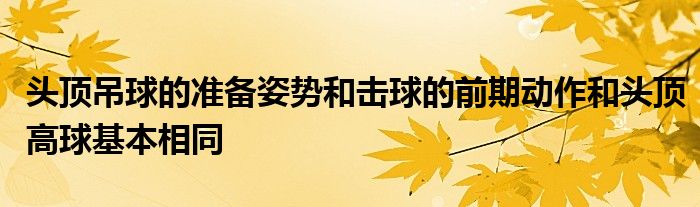 頭頂?shù)跚虻臏?zhǔn)備姿勢和擊球的前期動作和頭頂高球基本相同