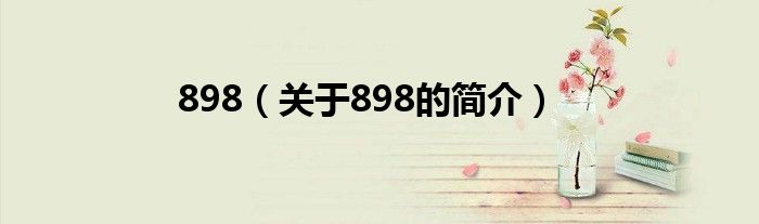 898（關(guān)于898的簡介）