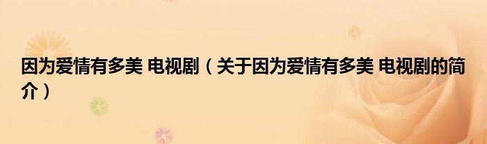 因?yàn)閻?ài)情有多美 電視?。P(guān)于因?yàn)閻?ài)情有多美 電視劇的簡(jiǎn)介）