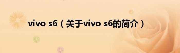 vivo s6（關(guān)于vivo s6的簡(jiǎn)介）