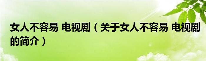 女人不容易 電視?。P(guān)于女人不容易 電視劇的簡介）