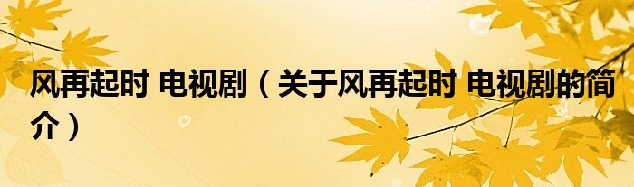 風再起時 電視?。P于風再起時 電視劇的簡介）