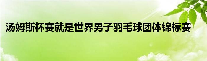 湯姆斯杯賽就是世界男子羽毛球團體錦標(biāo)賽