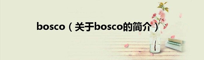 bosco（關(guān)于bosco的簡(jiǎn)介）