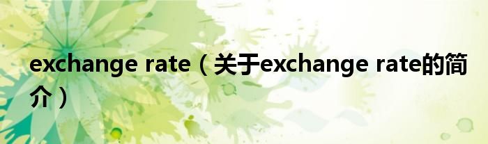 exchange rate（關(guān)于exchange rate的簡(jiǎn)介）