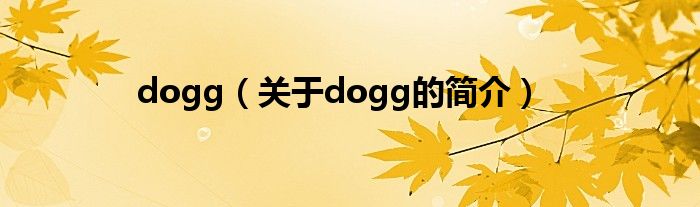 dogg（關于dogg的簡介）