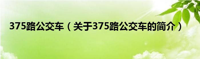 375路公交車（關(guān)于375路公交車的簡介）