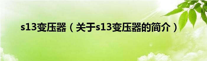 s13變壓器（關于s13變壓器的簡介）