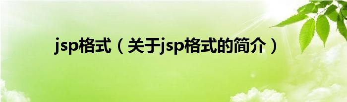 jsp格式（關(guān)于jsp格式的簡(jiǎn)介）