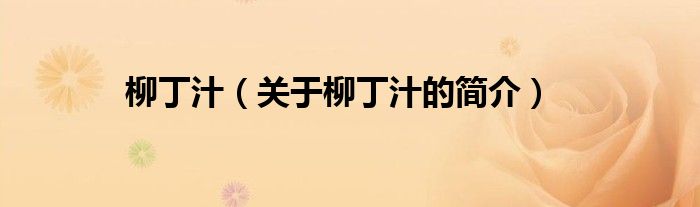 柳丁汁（關(guān)于柳丁汁的簡(jiǎn)介）