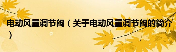 電動(dòng)風(fēng)量調(diào)節(jié)閥（關(guān)于電動(dòng)風(fēng)量調(diào)節(jié)閥的簡(jiǎn)介）