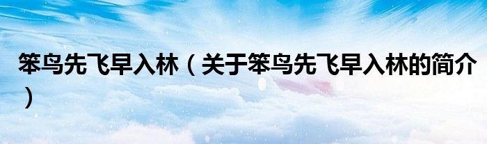 笨鳥先飛早入林（關(guān)于笨鳥先飛早入林的簡介）