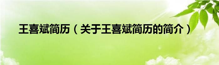 王喜斌簡(jiǎn)歷（關(guān)于王喜斌簡(jiǎn)歷的簡(jiǎn)介）