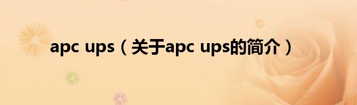 apc ups（關(guān)于apc ups的簡介）