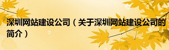 深圳網(wǎng)站建設(shè)公司（關(guān)于深圳網(wǎng)站建設(shè)公司的簡介）