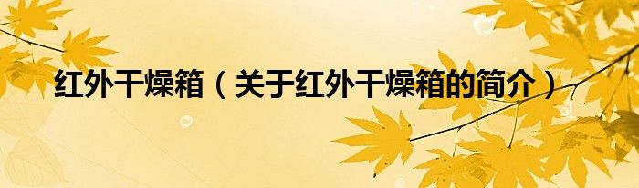 紅外干燥箱（關(guān)于紅外干燥箱的簡介）