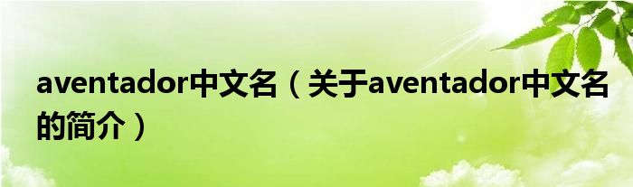 aventador中文名（關(guān)于aventador中文名的簡(jiǎn)介）