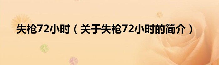 失槍72小時（關(guān)于失槍72小時的簡介）