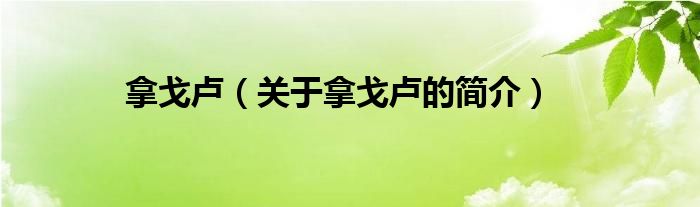 拿戈盧（關(guān)于拿戈盧的簡介）