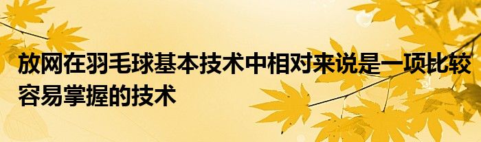 放網(wǎng)在羽毛球基本技術(shù)中相對來說是一項比較容易掌握的技術(shù)