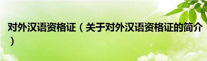 對(duì)外漢語(yǔ)資格證（關(guān)于對(duì)外漢語(yǔ)資格證的簡(jiǎn)介）