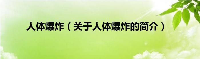 人體爆炸（關(guān)于人體爆炸的簡介）