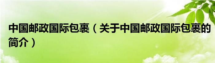 中國郵政國際包裹（關(guān)于中國郵政國際包裹的簡介）