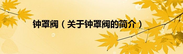 鐘罩閥（關(guān)于鐘罩閥的簡(jiǎn)介）