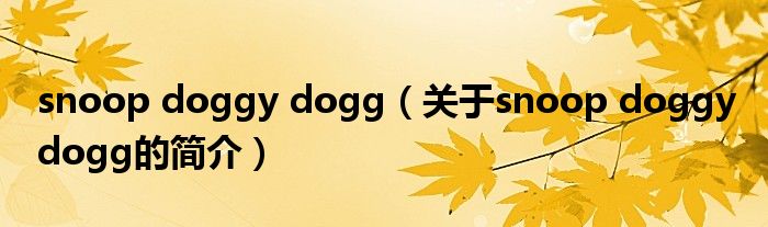 snoop doggy dogg（關(guān)于snoop doggy dogg的簡介）