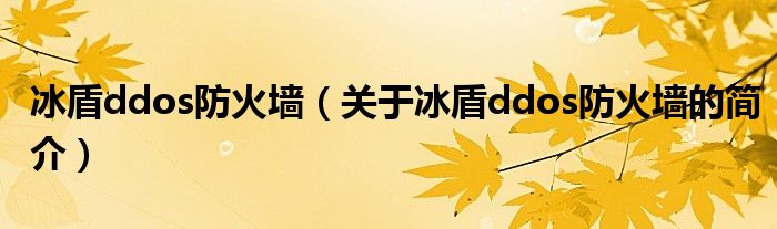 冰盾ddos防火墻（關(guān)于冰盾ddos防火墻的簡(jiǎn)介）