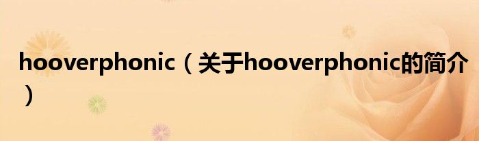 hooverphonic（關(guān)于hooverphonic的簡介）