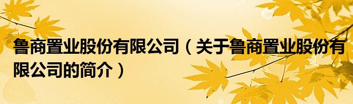 魯商置業(yè)股份有限公司（關(guān)于魯商置業(yè)股份有限公司的簡介）