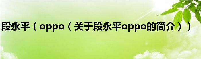 段永平（oppo（關于段永平oppo的簡介））