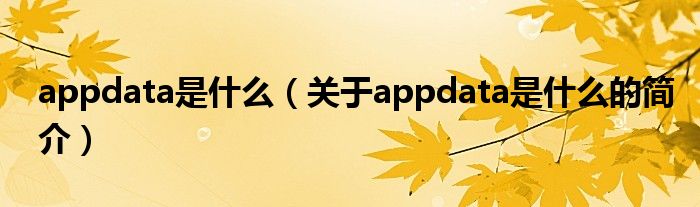 appdata是什么（關(guān)于appdata是什么的簡介）