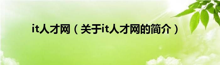 it人才網(wǎng)（關(guān)于it人才網(wǎng)的簡(jiǎn)介）