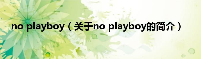 no playboy（關(guān)于no playboy的簡(jiǎn)介）