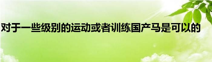 對于一些級別的運動或者訓練國產馬是可以的